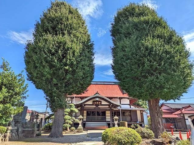本堂と銀杏