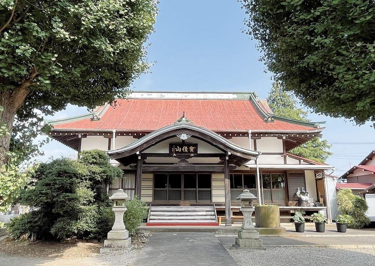 本堂前の大銀杏（青葉）