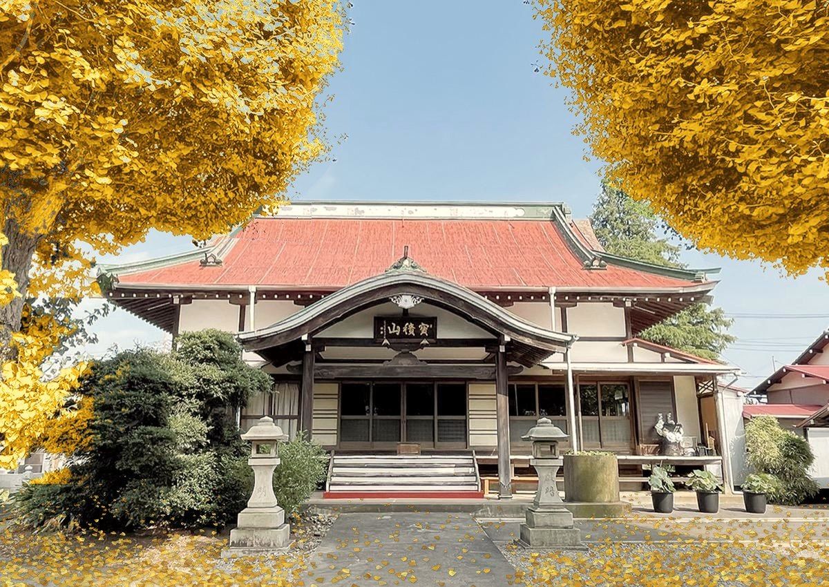 本堂前の大銀杏（黄葉）