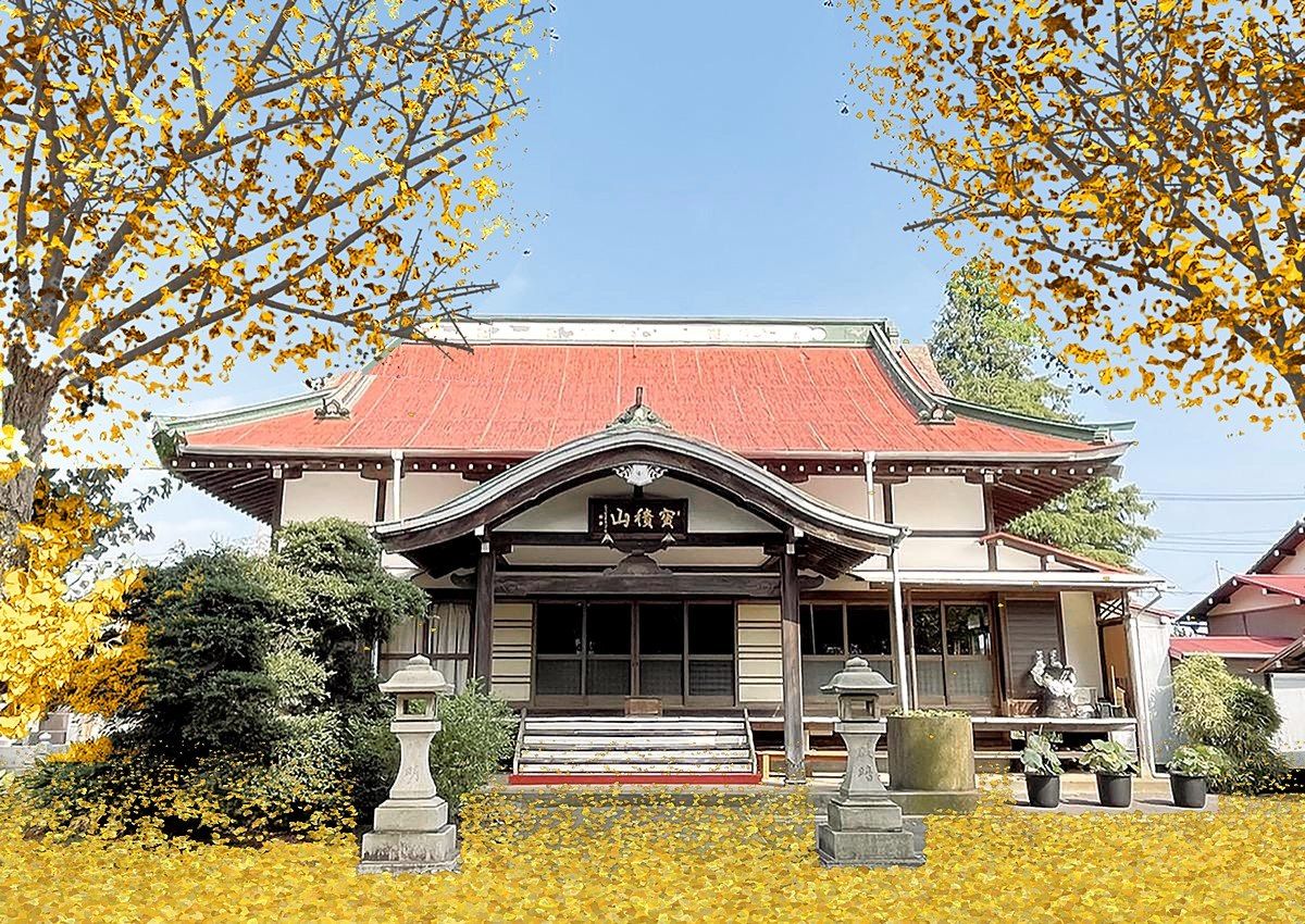 本堂前の大銀杏（落葉）